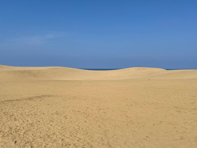 tottori-sakyu-umanose